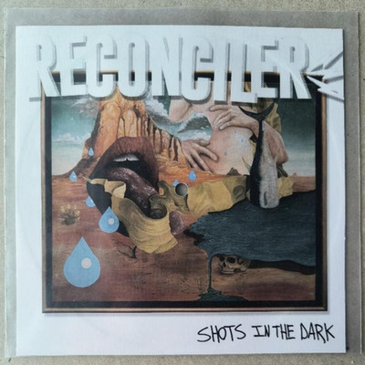 Reconciler Shots In The Dark new 7'' flexi Smartpunk promo Art For Our Sake vinyl
