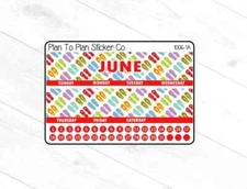 1006-1C~~June 8.5X11 Monthly View Planner Stickers.