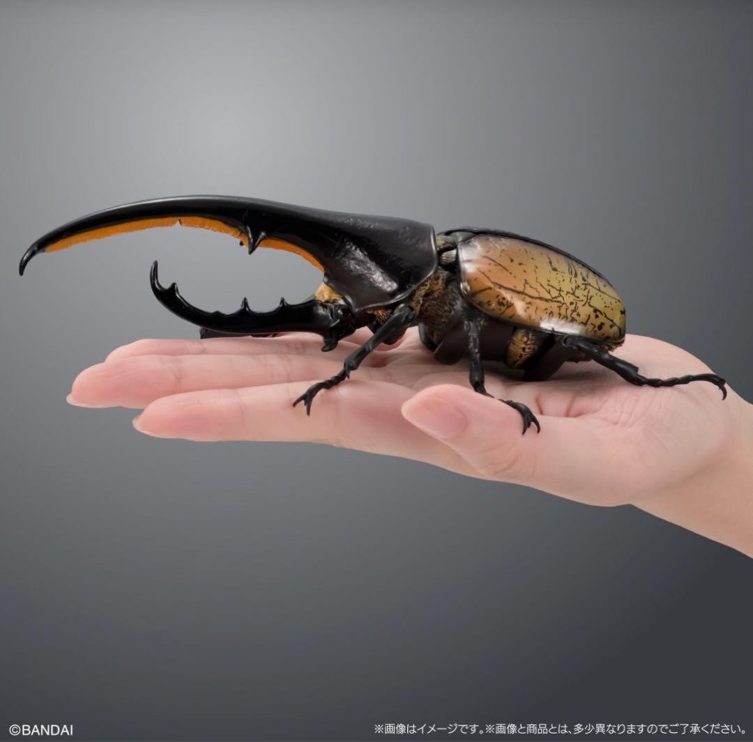 Living Creature Encyclopedia Advance Hercules Beetle Stand w/ Wings #d30ab7