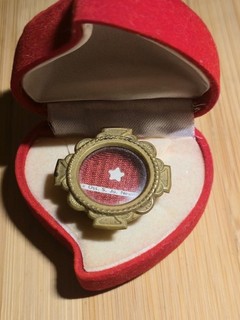 Relic of St. John Neumann