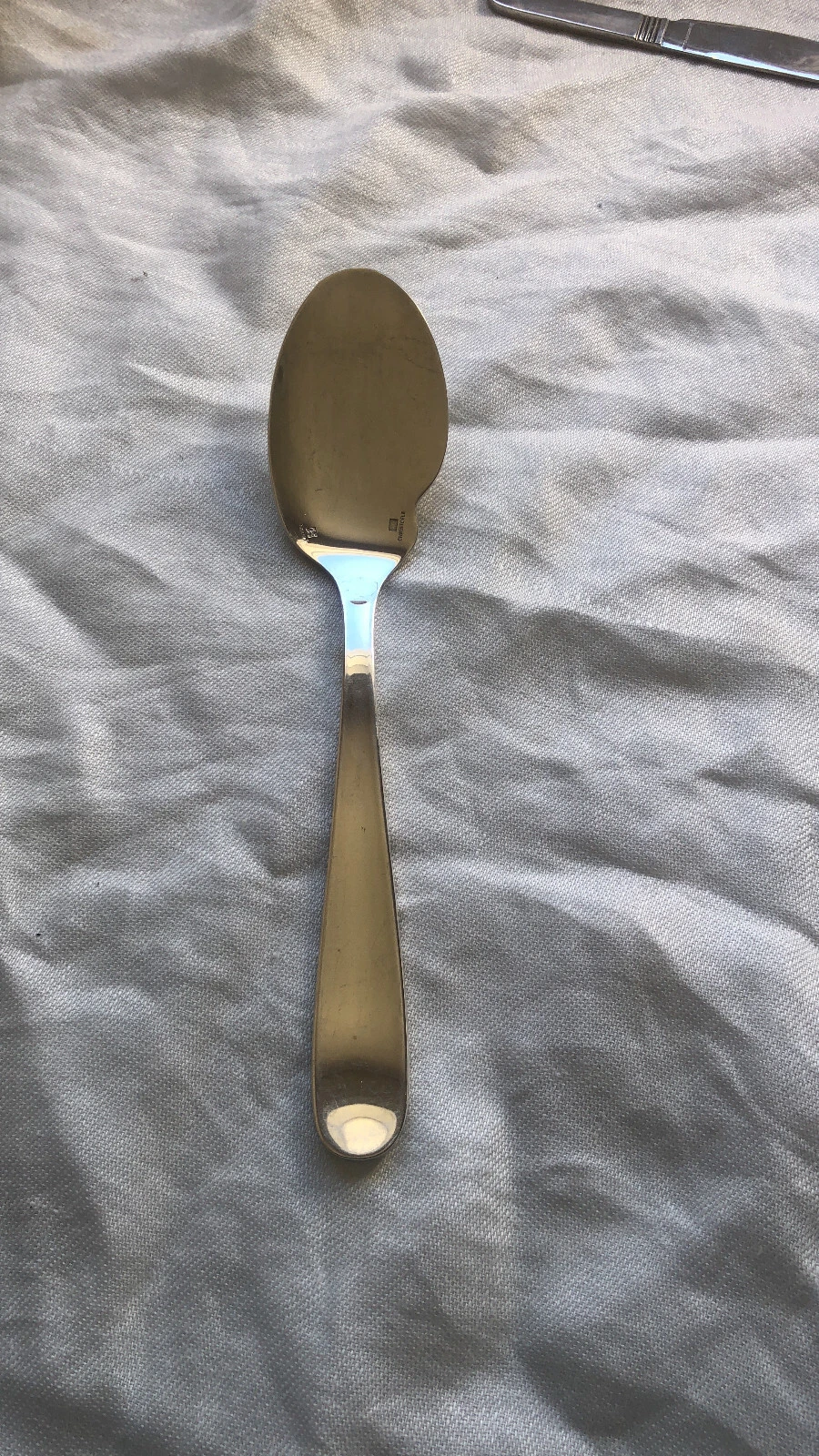 Christofle Berry Pattern Silverplate Individual Sauce / Gravy Spoon No Monogram