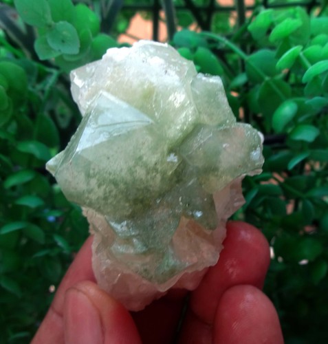 Apophyllite W/ Stilbite Matrix Minerals - Picture 3 of 7