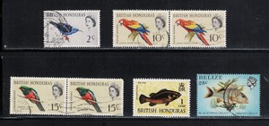 Colorful Birds and Fish from Belize / British Honduras