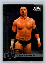2022 Upper Deck Skybox AEW Metal Universe #85 Dax Harwood FTR (C)