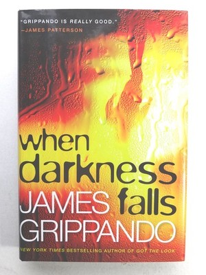 When Darkness Falls (Jack Swyteck Novel) by Grippando