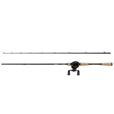 Abu Garcia Max Pike Casting Combo