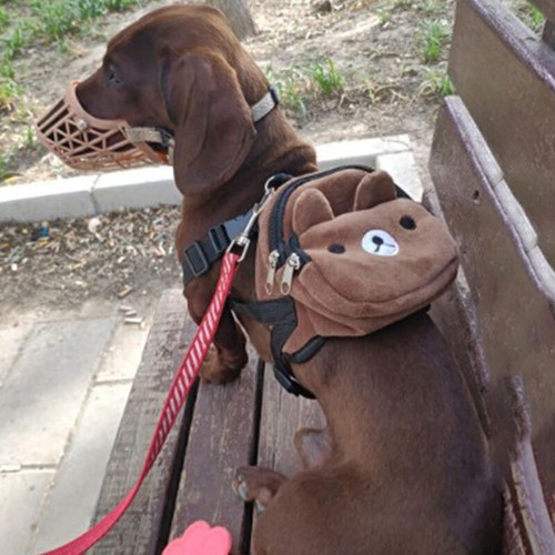 Cute Durable Bag Pet Carrier School Backpack Self Puppy Dog Cat Walking Travel - Picture 6 of 41