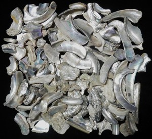 1 lb Lot of Natural Abalone Shell Pieces – Jewelry, Inlay, Craft Supply