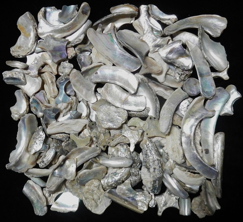 1 lb Lot of Natural Abalone Shell Pieces – Jewelry, Inlay, Craft Supply