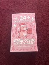 24 Days Of Holiday Joy Straw Cover Advent Calendar