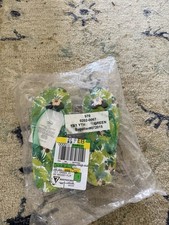 Disney Mickey Mouse Kids Sze 1 Green Tropical Motif Flip Flop Thong Sandals NWT