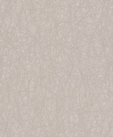 Rasch Tapete Selection 400632 Beige Stylisch Uni Vliestapete Vlies