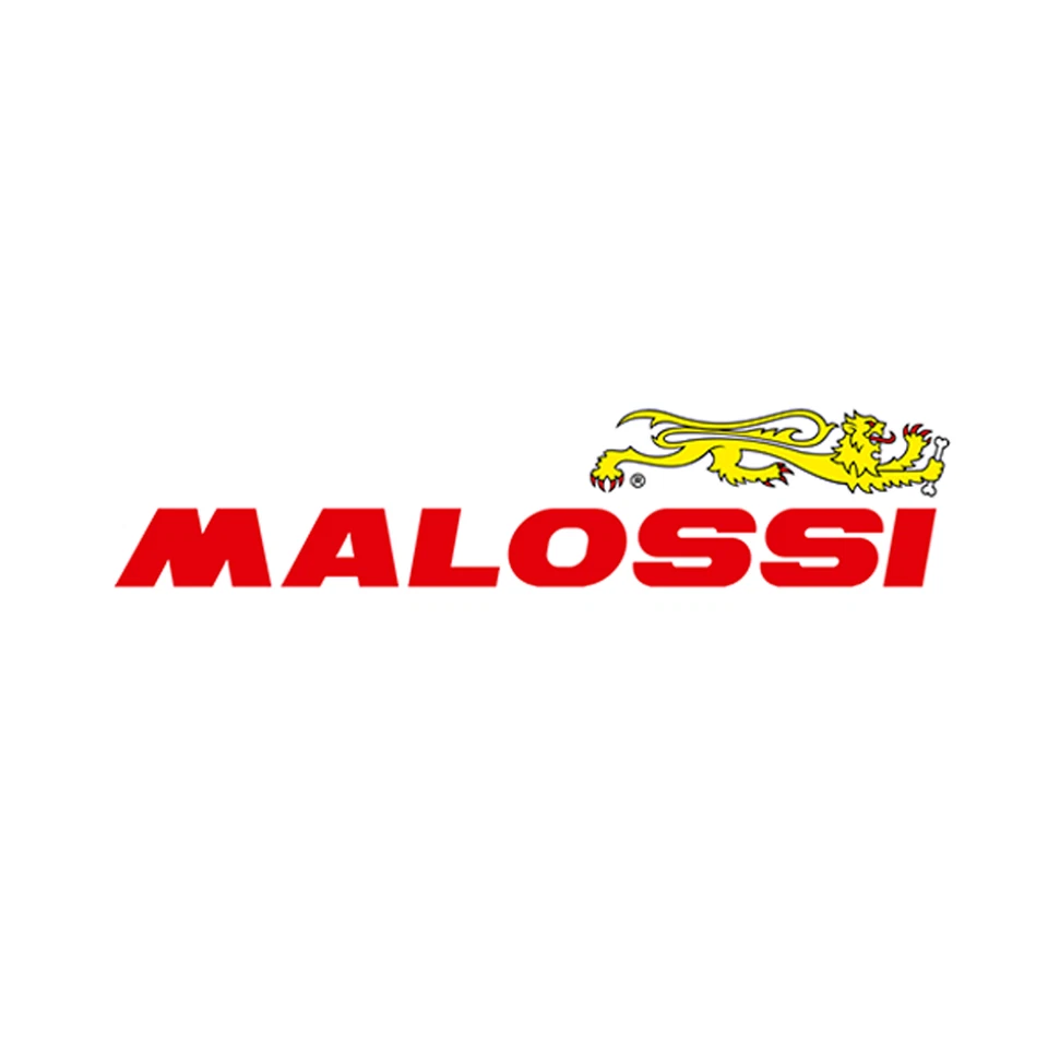 Malossi Variator 5113161 New Multivar 2000 MHR Aprilia SR 50 2T -1993 Foto 4 de 4