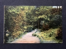 Keston Common Kent Vintage Postcard A25