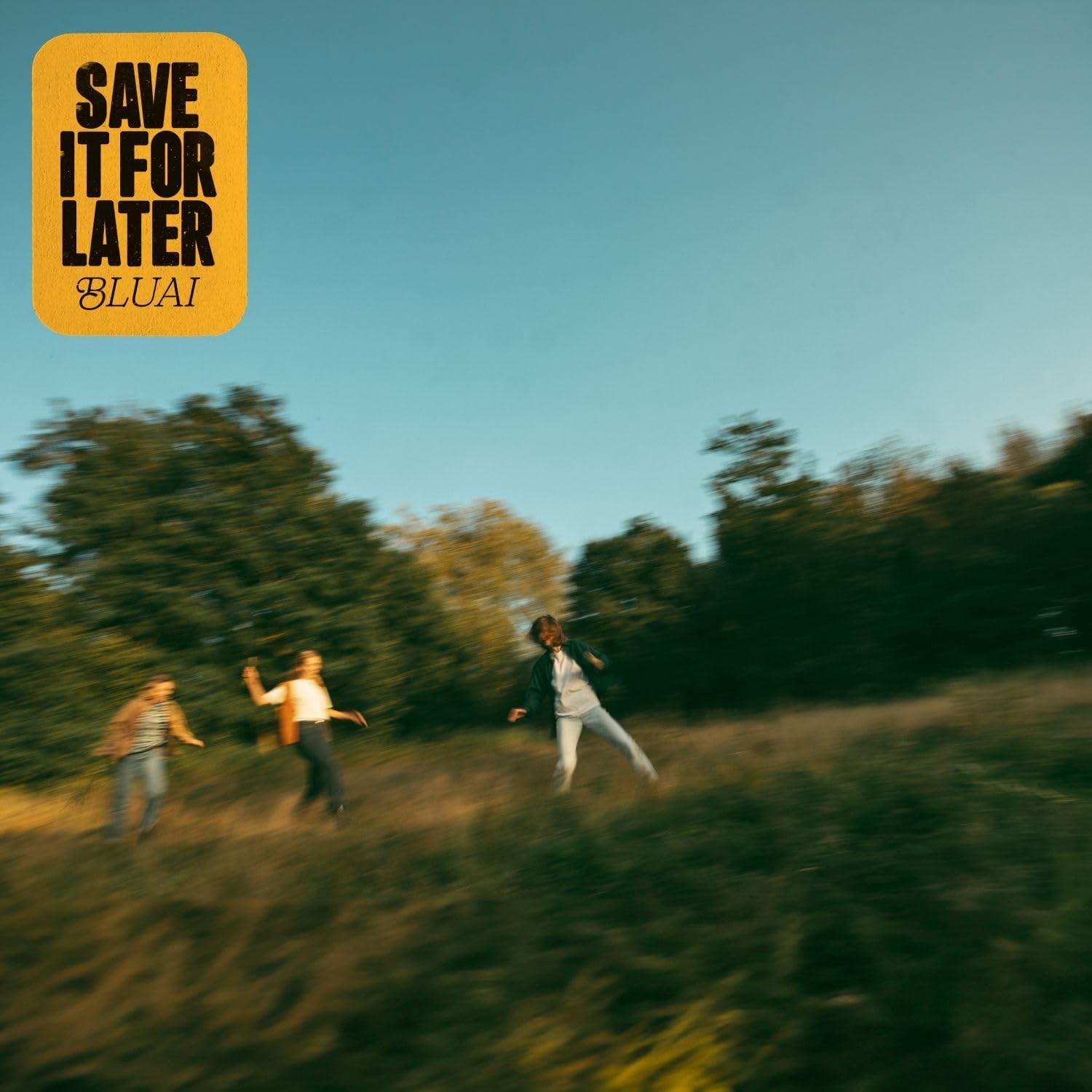 Bluai Save It For Later CD NEW - Image 2