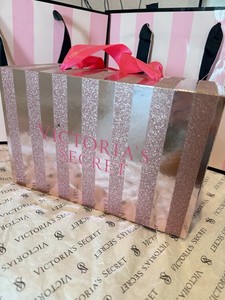 Victoria’s Secret Pink Mini Dog 2025 Limited Edition Collectible