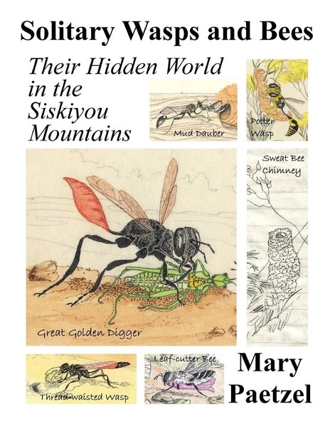 Mary Paetzel | Solitary Wasps And Bees | Taschenbuch | Englisch (2010)-image