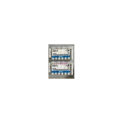 10PCS NEW SMC AKH06-00 Check Valve Fast Delivery #zb