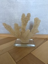 Pedestal transparente de coral sintético, blanco roto