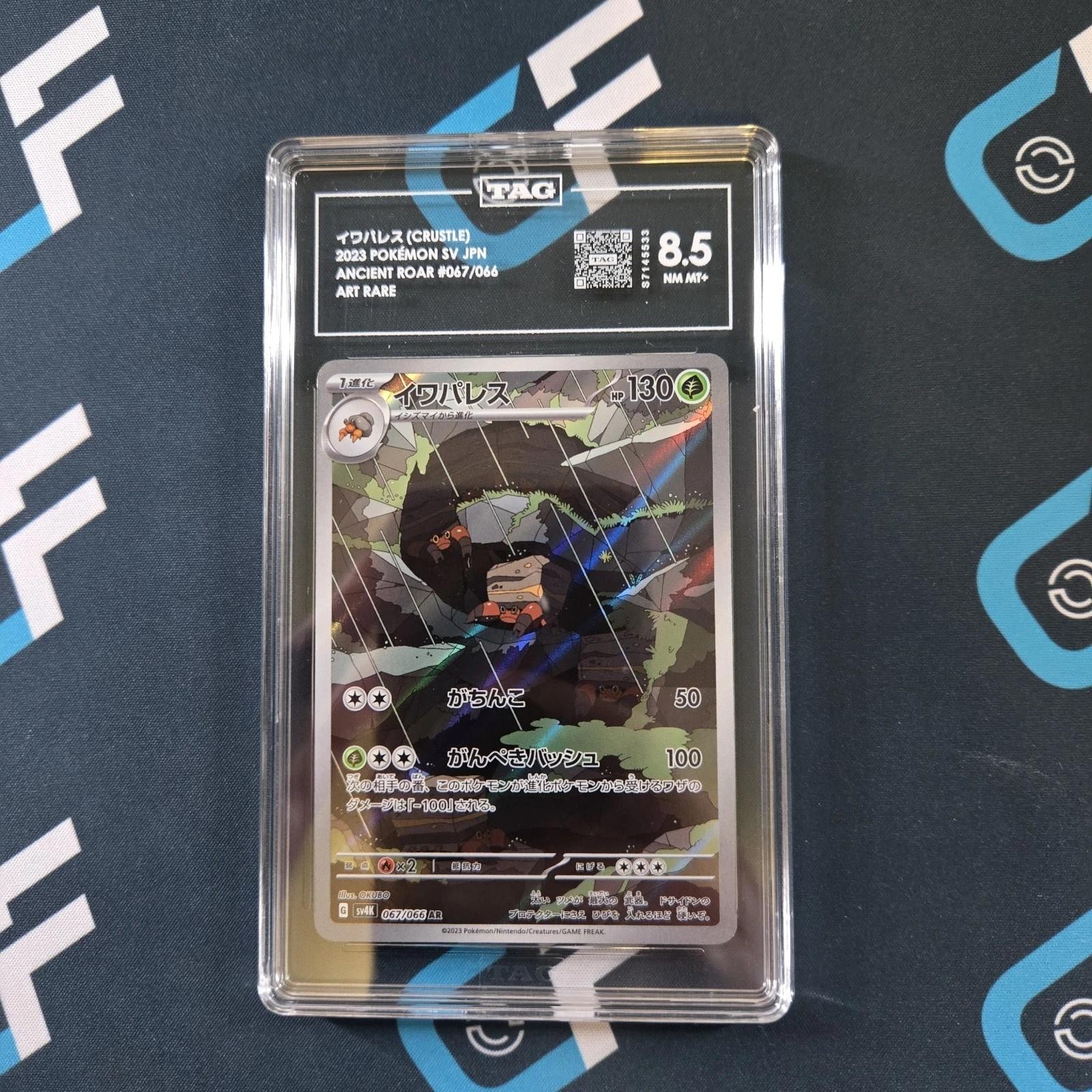 イワパレス Crustle 067/066 Art Rare Ancient Roar Pokemon Tag 8.5 Nm Mt+