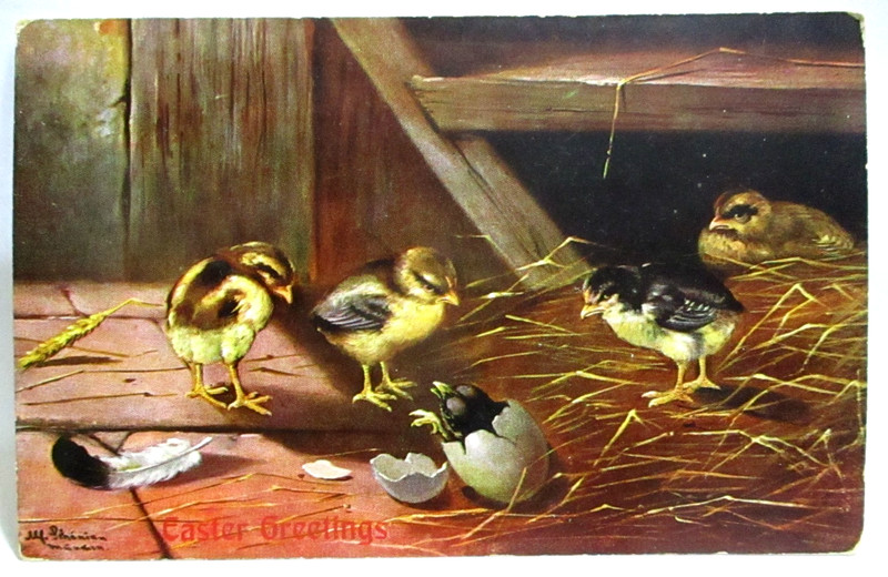 1910 ARTIST SIGNED POSTCARD EASTER GREETINGS BABY CHICKS, CHICK HATCHING