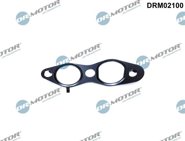 Dr.Motor Automotive Dichtung Agr-Ventil FüR Ford Kuga I 2.0 Tdci 4X4 Peugeot-image