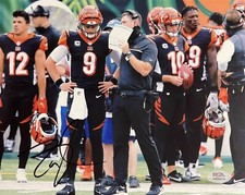 Zac Taylor Signed Autographed Cincinnati Bengals 8x10 Photo PSA/DNA