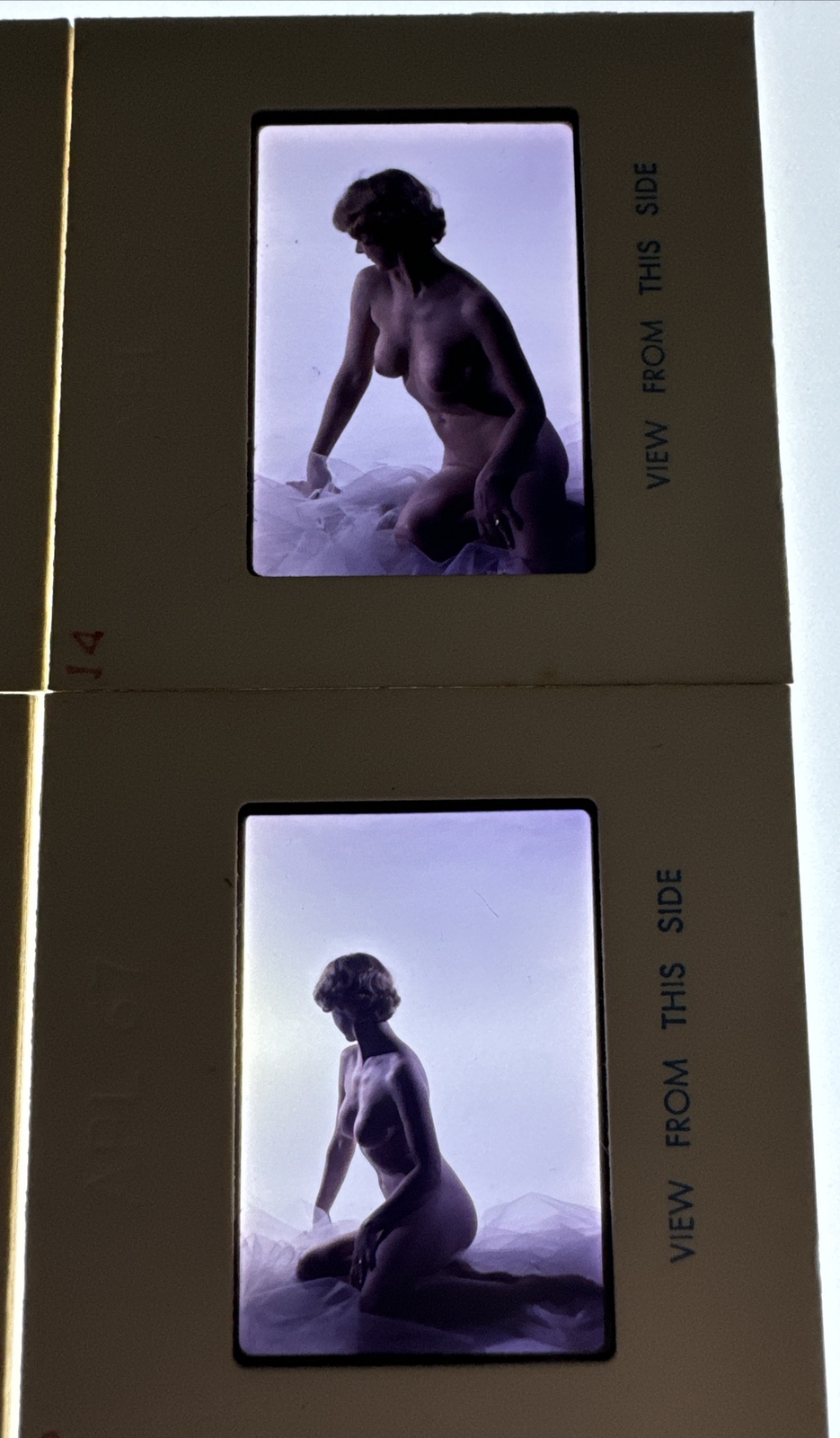 Picture 5 of 7