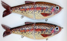TYG Silencer Rainbow Trout Glide bait swimbait Trout Treat 7 inch 2 Glide baits
