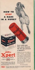 Magazine Ad - 1950 - Western Xpert Shotgun Shells ammunition