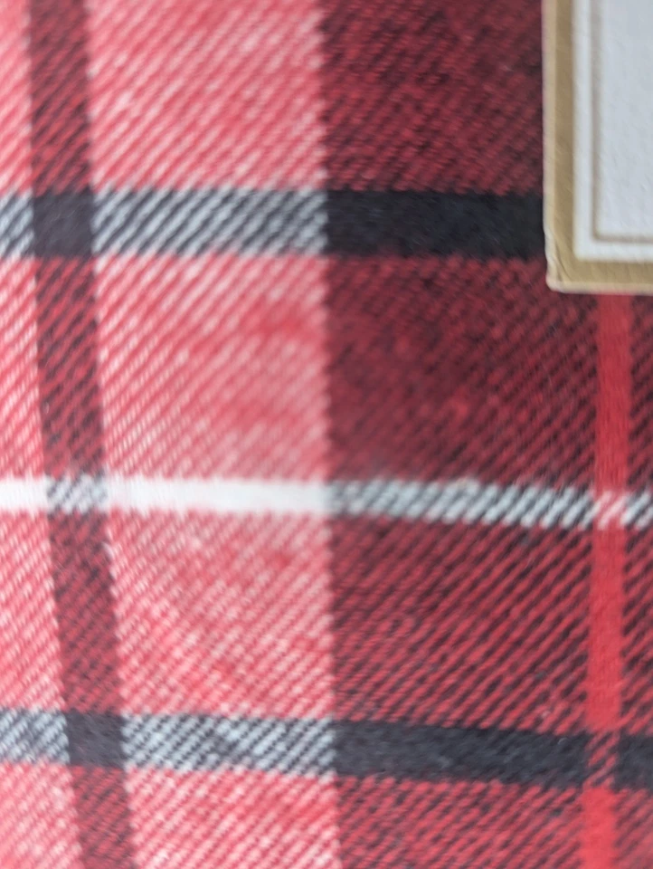 ¡NUEVO! Funda nórdica Pottery Barn Teen tamaño doble clásica a cuadros franela orgánica feb25 Foto 2 de 4