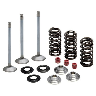 Kibblewhite Precision Intake Only Stainless Conversion Valve/Spring Kit-8080950