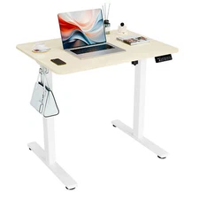 Ergomaker 31"x23" Height Adjustable Electric Standing Desk Office Table Oak New