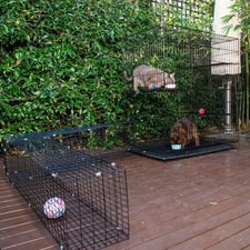 Portable Cat Enclosure With Tunnel 122 x 106 x 73.5cm