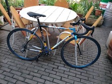 Colnago Master Mapei Edition Bike