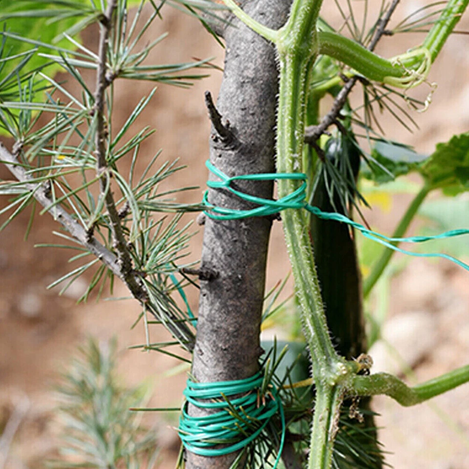 Bolsa de cocina 328 pies 100 m planta de jardinería verde torcido lazo rollo de alambre con cortador 2 piezas Foto 4 de 4
