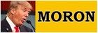 MORON - ANTI Trump POLITICAL BUMPER STICKER
