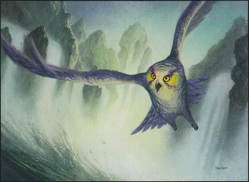 MTG Zendikar Tempest Owl Near Mint English Magic Card 🧙🏽153 - Picture 2 of 2