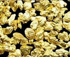 1.000 GRAMS ALASKAN YUKON BC NATURAL PURE GOLD NUGGETS #8 MESH