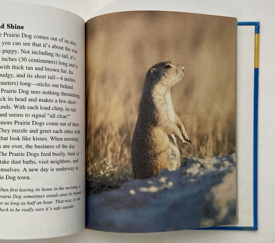 Getting to Know Nature's Children • 2-Sided Hardcover • Lot Of 11• Scholastic VG Foto 4 de 4