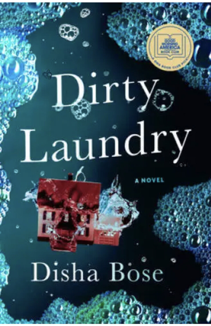 Disha Best Home Dishwashers 2016 Dirty Laundry By Disha Bose (2023