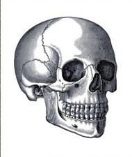 SHIP FROM NY - Temporary Tattoo - Set of 2 Wrist Size Candy Skull  1.5" each 