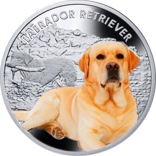 2014 Labrador Retriever Man’s Best Friends 17.5 G Proof .999 Silver Coin 1$ Niue