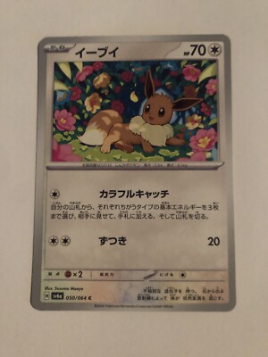 ポケモンカード イーブイEevee 050/064 英語版 Pokémon TCG Eevee 050