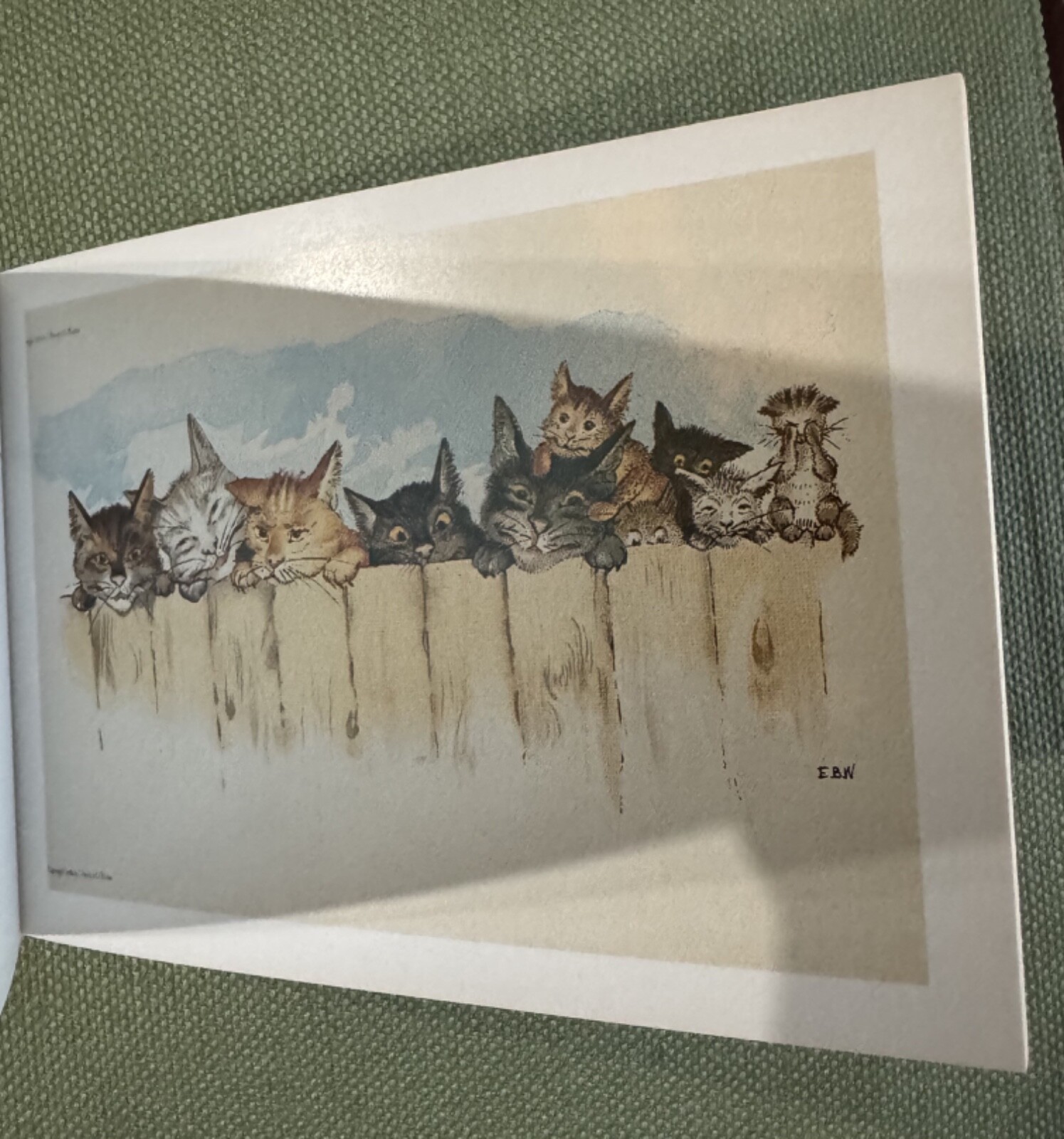Bild 13 von 24