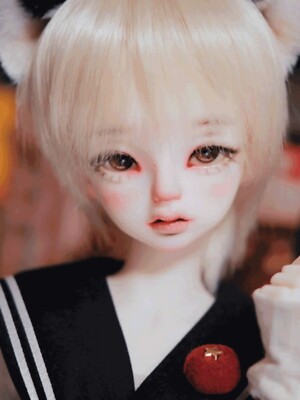Cute Cat Boy Girl 1/4 BJD Doll Resin Nude Body Flexible Jointed Face Makeup Gift