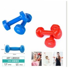 SET 2 MANUBRI MANUBRIO PALESTRA 12KG PESI SPORT FITNESS 6 KG BODY BUILDING CASA
