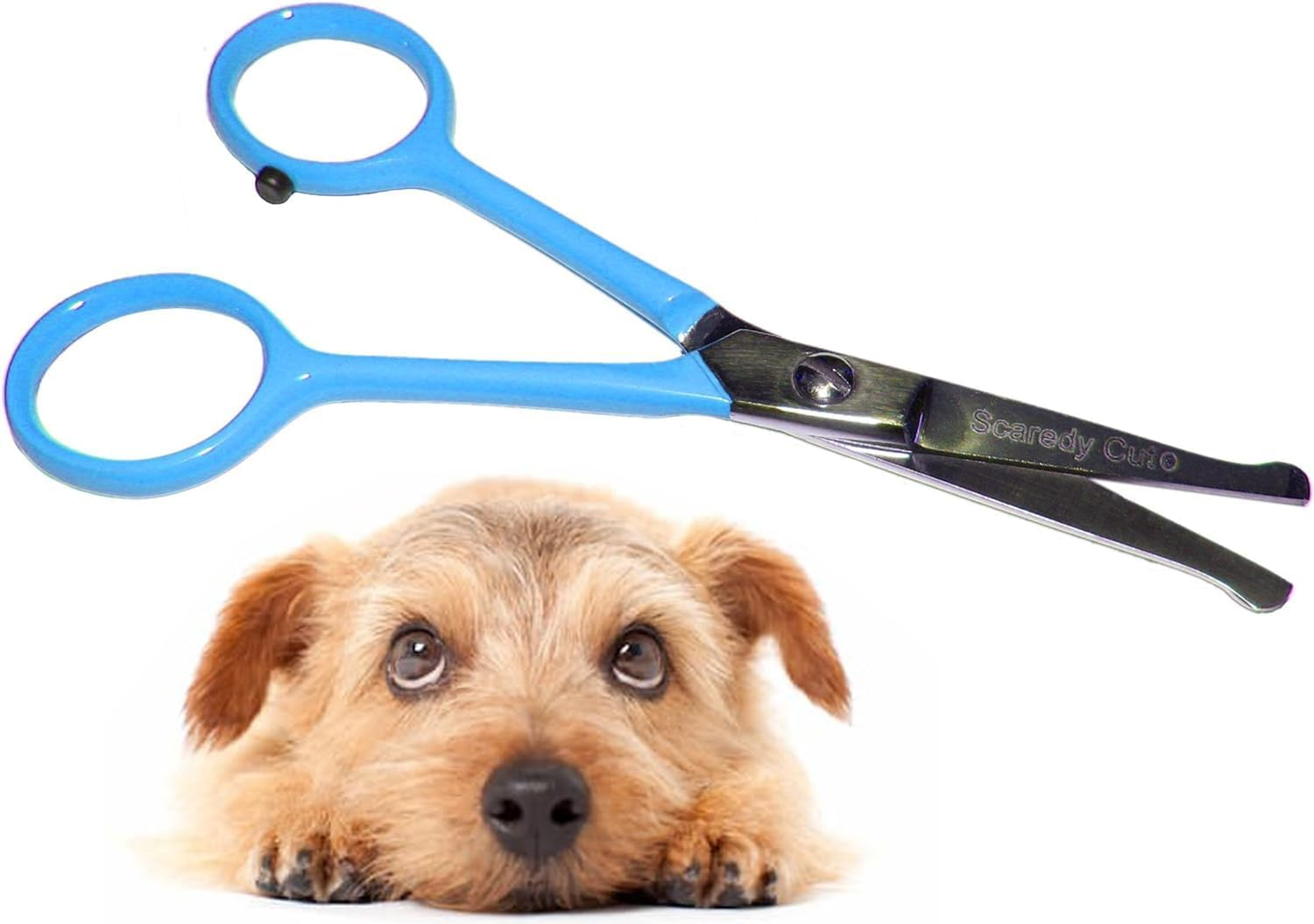 Scaredy Cut Tiny Trim Small Pet Grooming Safety Scissor Ear Nose Face Paw Pink