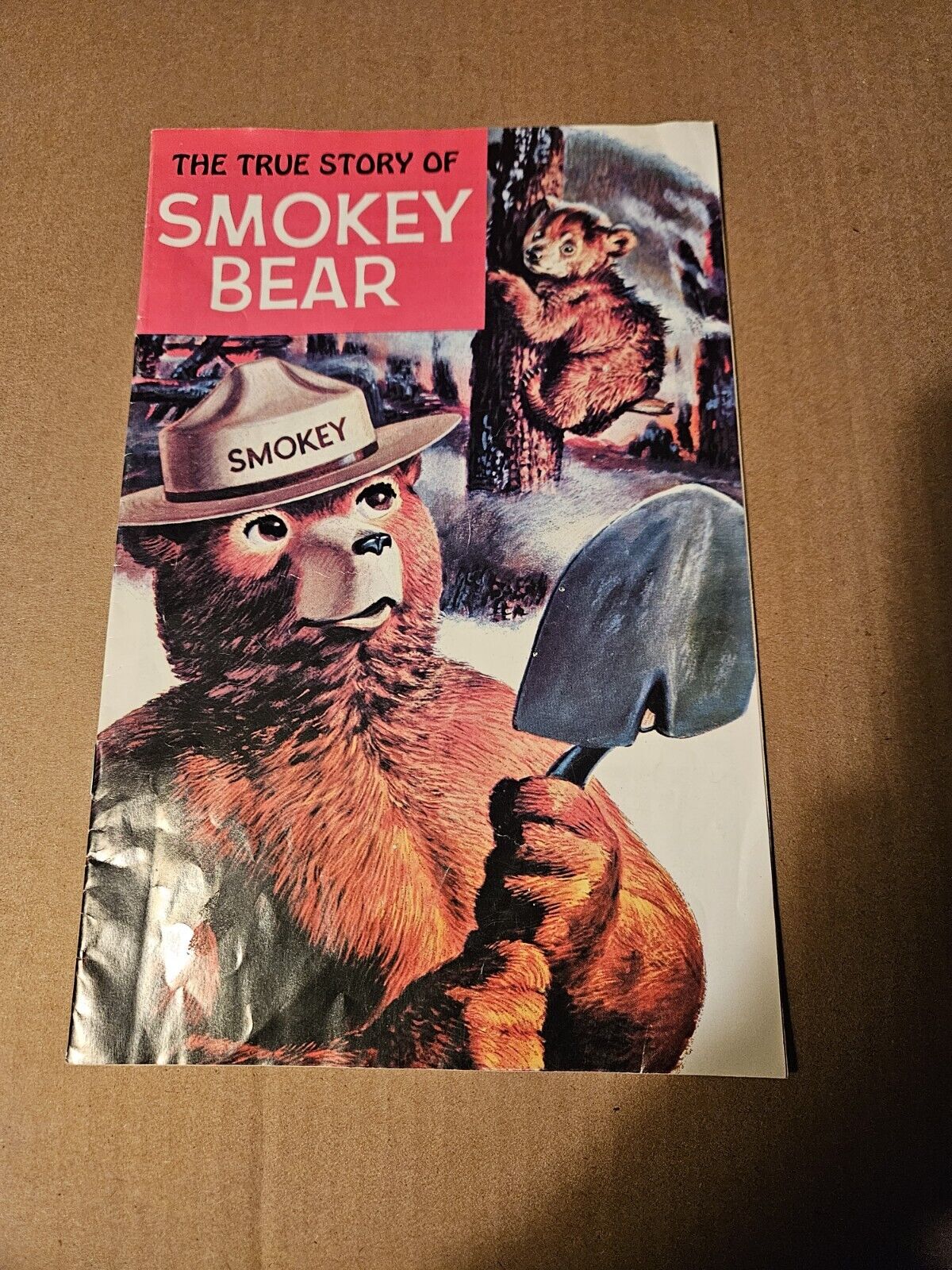 The True Story of Smokey Bear Comic Book 16 Pages Full Color 1969 vintage
