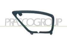 PRASCO FD4222134 Lüftungsgitter, Stoßfänger für FORD